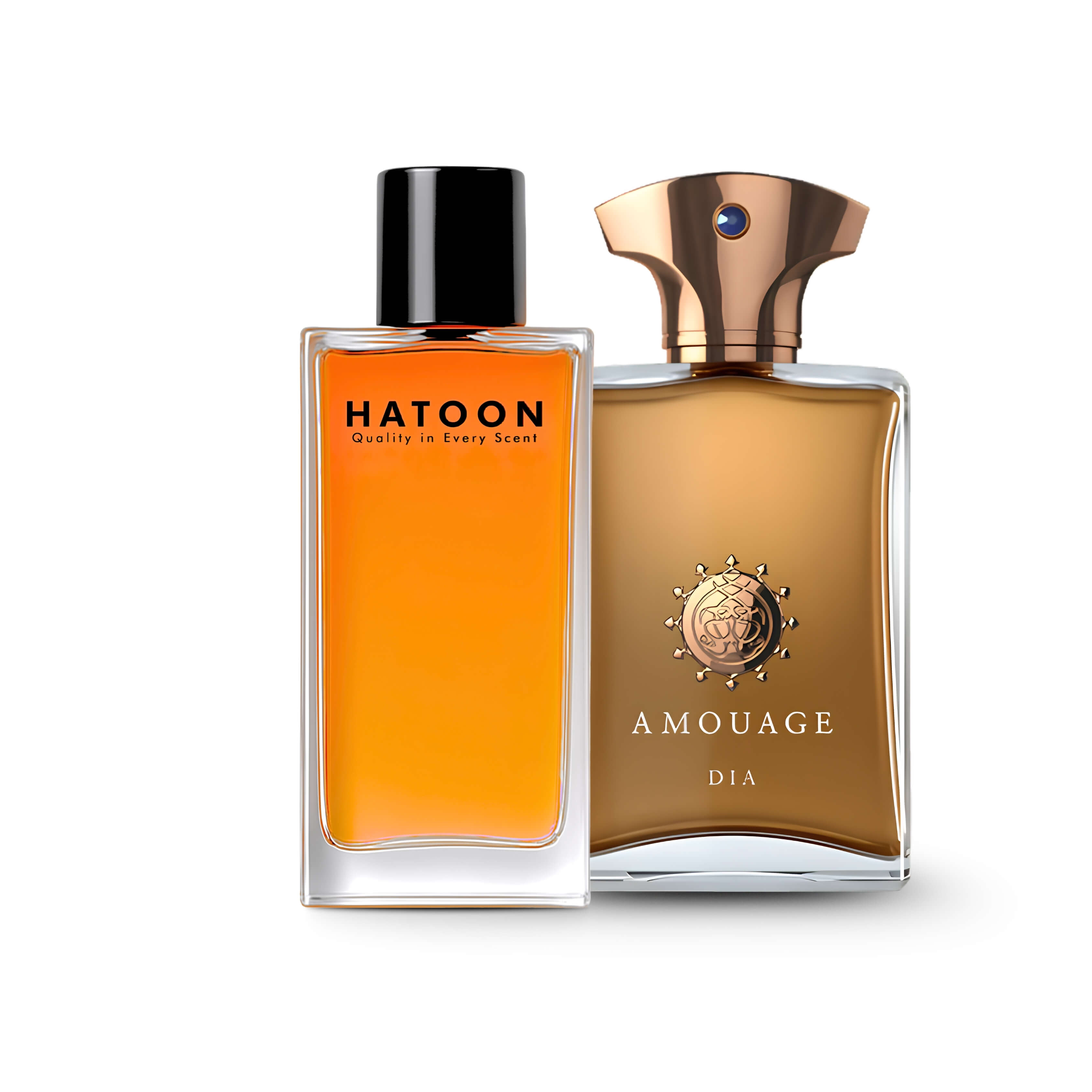 AMOUAGE DIA MAN